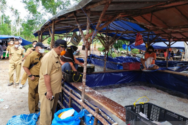 Usaha pengolahan ubur-ubur di Belitung serap ratusan tenaga kerja