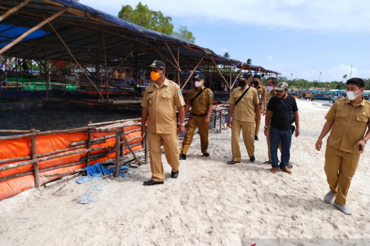 Produksi ubur-ubur di Belitung capai 240 ton per minggu