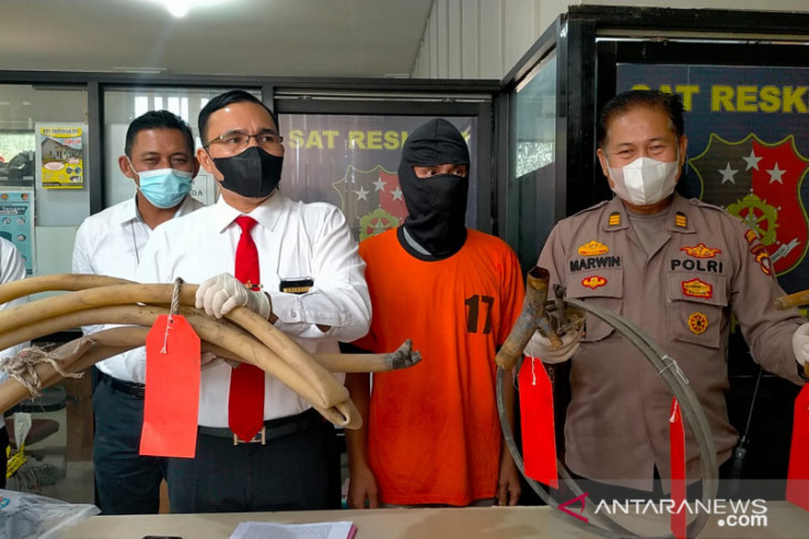 Polisi tangkap pelaku penambangan emas tanpa izin di Singkawang