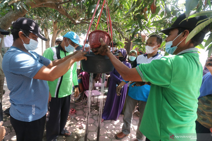 Sekolah Lapang Petani Cabai