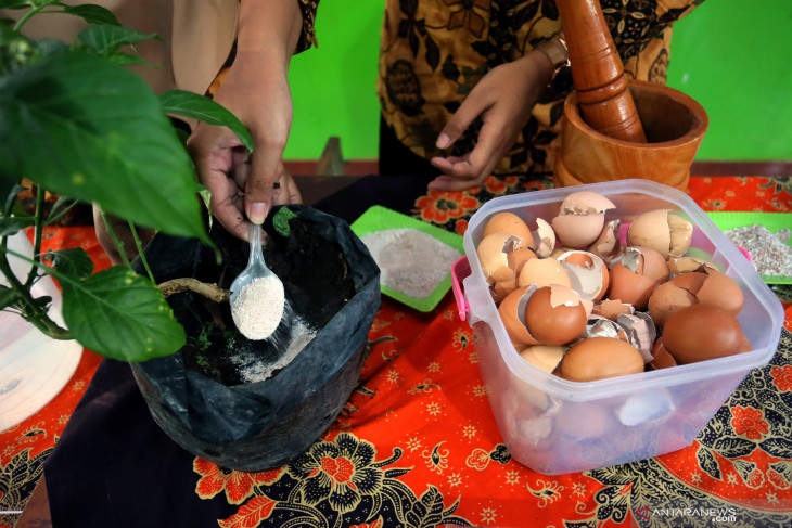 Pupuk Dari Cangkang Telur 