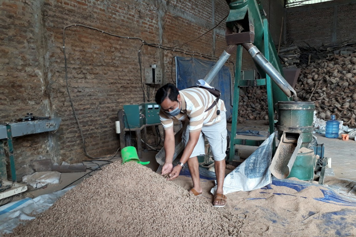 Limbah kayu disulap jadi bahan bakar alternatif