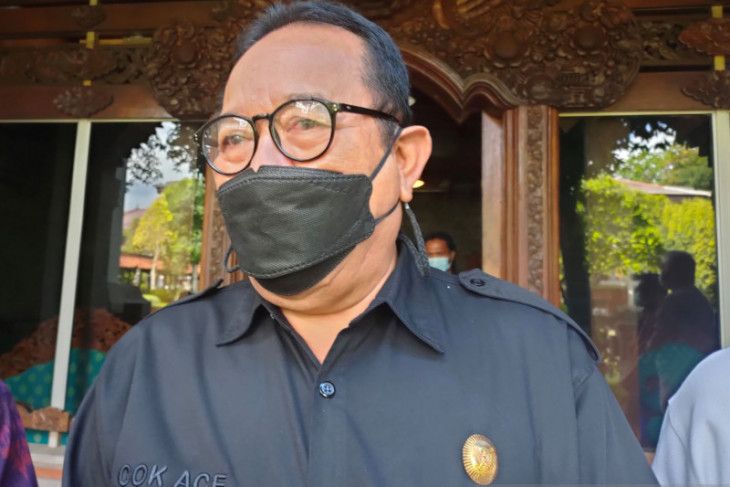 Bali minta pemerintah pusat segera realisasikan pinjaman lunak Rp9,4 triliun