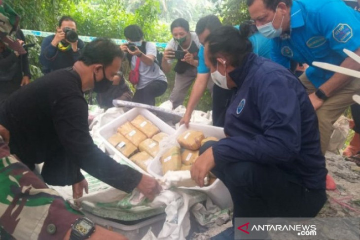 Polda Babel tangkap kurir 31 kilogram ganja