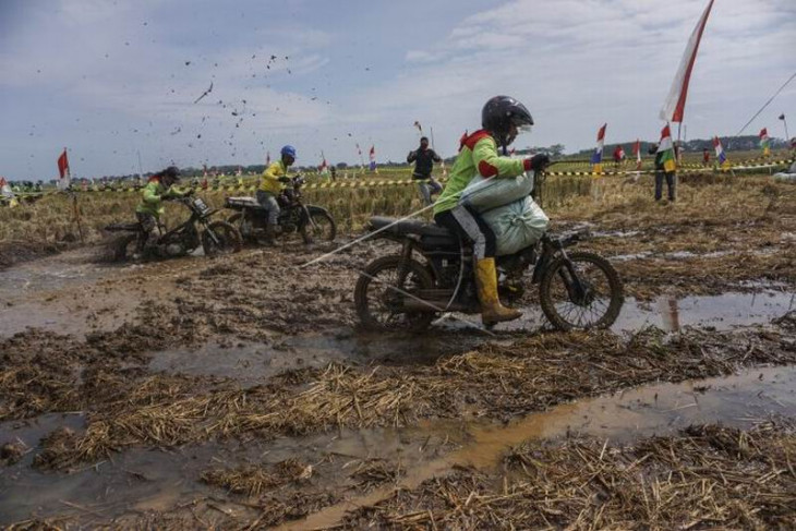 Lomba balap sepeda motor gabah