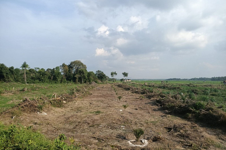 Lahan kosong ditanami sawit