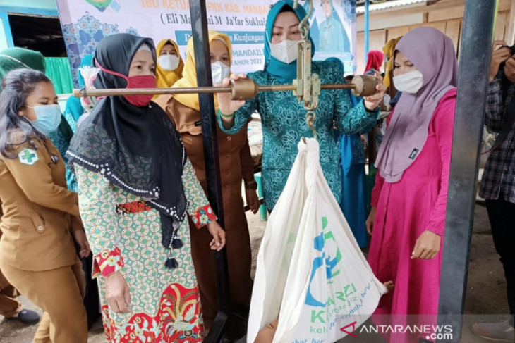 Ketua PKK Madina tinjau Posyandu di Desa Hutabargot Setia