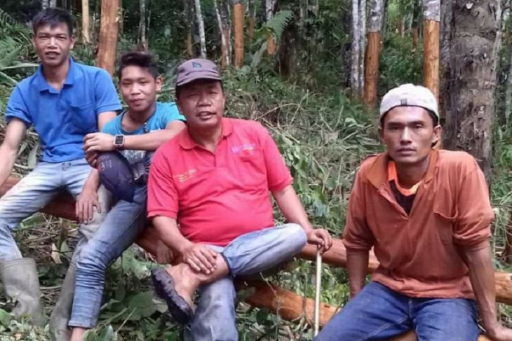 Warga Desa Muara Madras Merangin tanam kayu manis sebagai investasi .