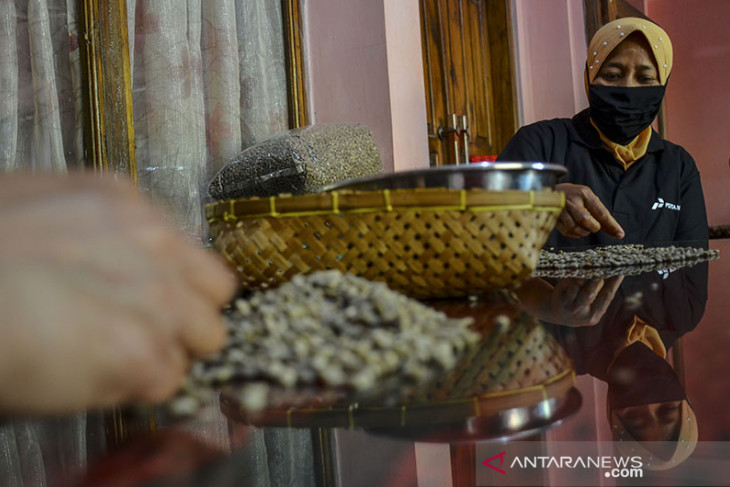 Pemberdayaan petani kopi di tengah pandemi