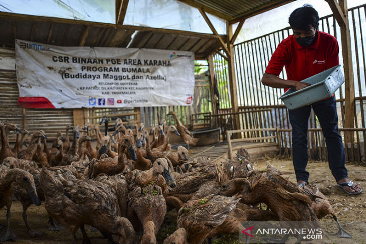 PGE area Karaha luncurkan program Bumala 