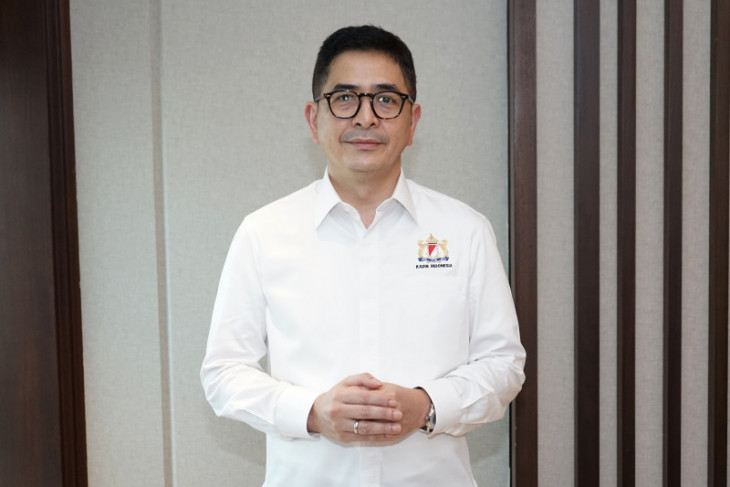Kadin optimis Indonesia jadi produsen baterai mobil listrik terbesar di dunia