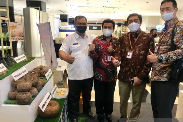 Bank UMKM Jatim fokus tingkatkan kredit sektor pertanian
