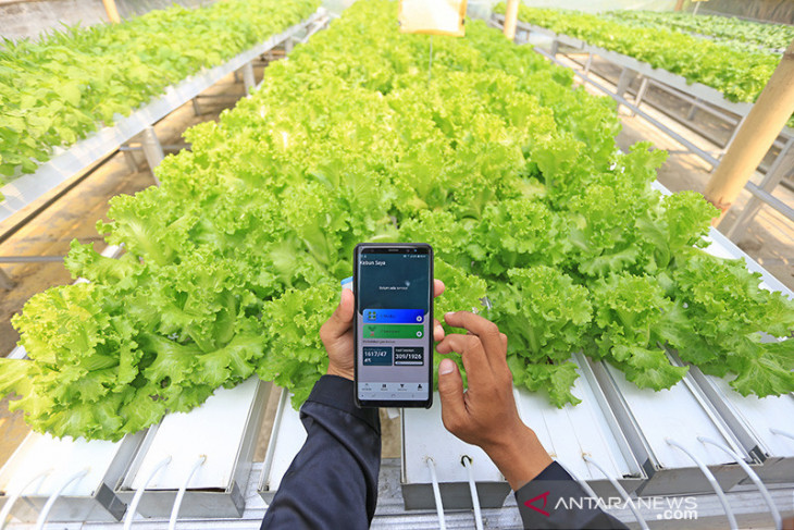 Pemanfaatan teknologi digital untuk pertanian 