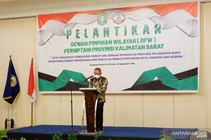 Gubernur Kalbar segera kirim surat ke Presiden terkait tanaman kratom
