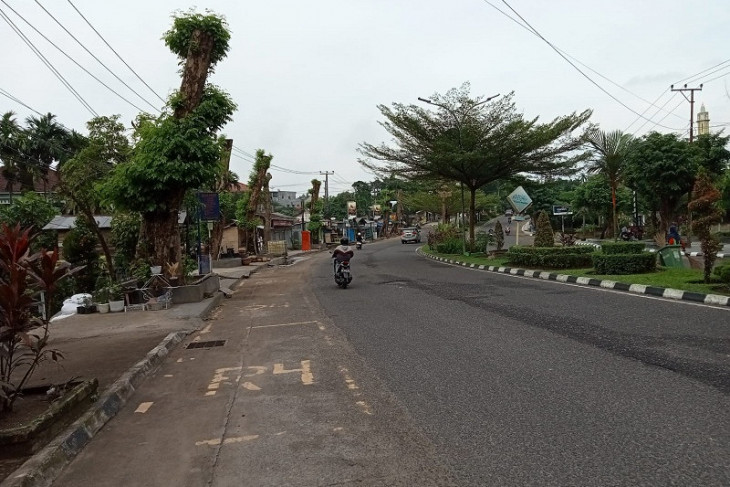 Dipangkas demi keselamatan pengendara