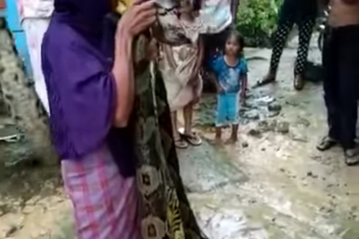 Warga Hasang Labura temukan ular 'raksasa'