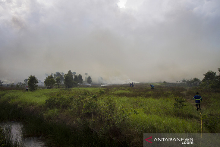 Kebakaran Lahan Di Kalsel Mendekati Permukiman Warga