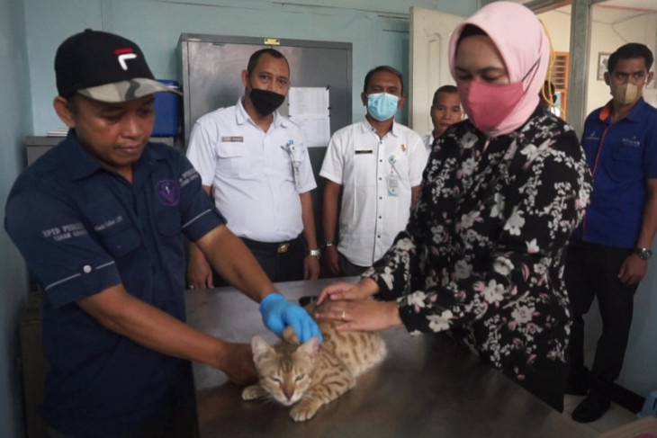Disbunak Paser gelar vaksinasi rabies gratis