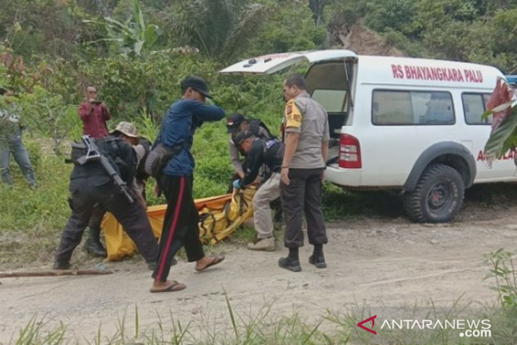 Pengamat Kamtibmas Apresiasi Tim Satgas TNI-Polri Madago Raya