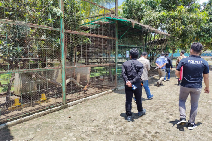 PT NAN Paluta jalani sidang gugatan Walhi di PN Padangsidimpuan
