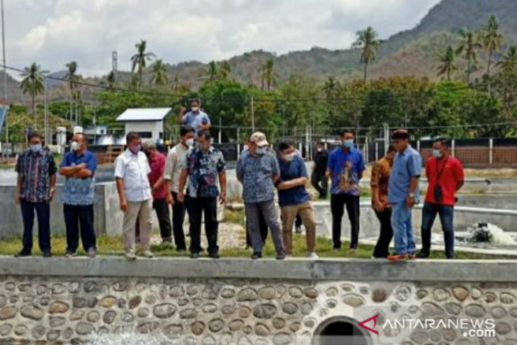 Gubernur Erzaldi pelajari teknik budidaya