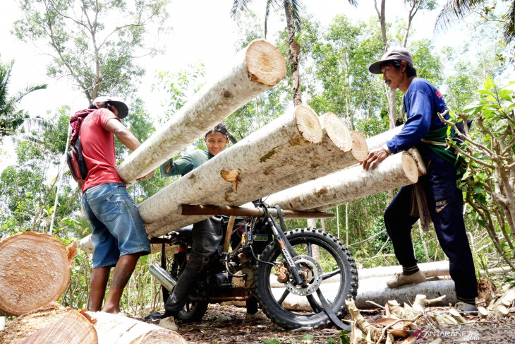 Jasa Ojek Angkut Kayu Pegunungan di Tulungagung