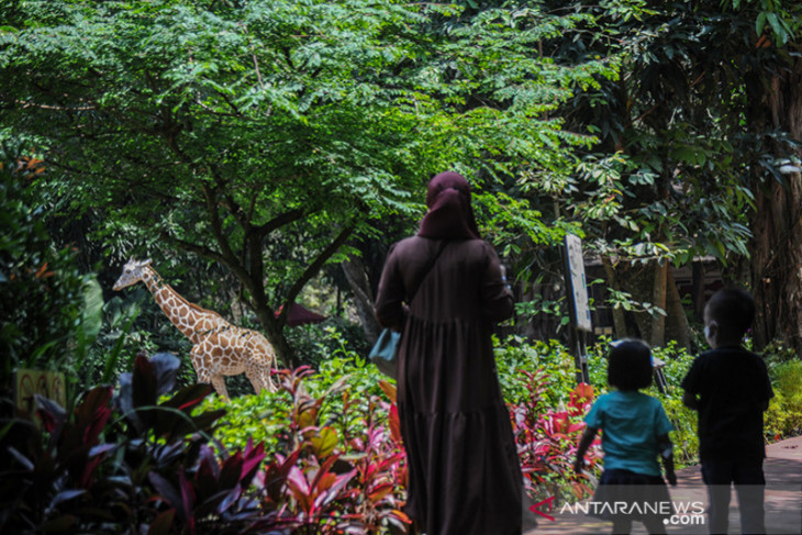 Kebun binatang Bandung kembali dibuka 