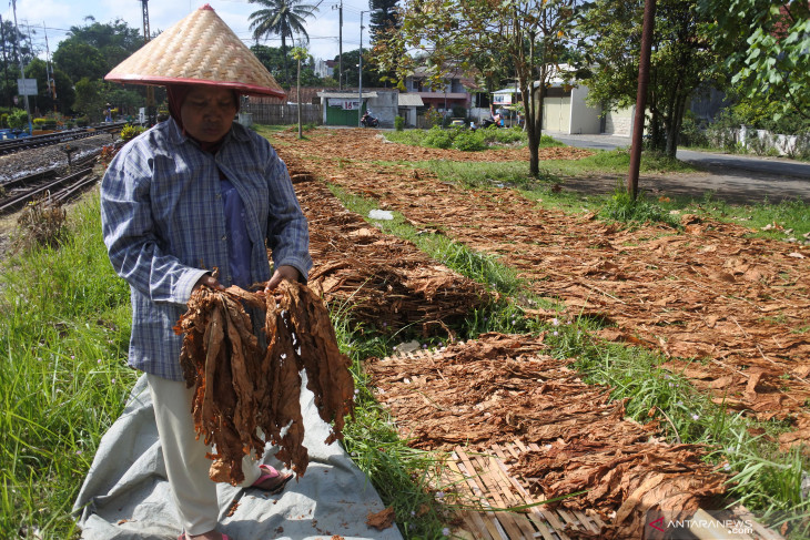 Upah Harian Buruh Tani