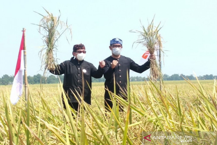 Ketua Majelis Syura PKS sampaikan agar negara lindungi dan sejahterakan petani