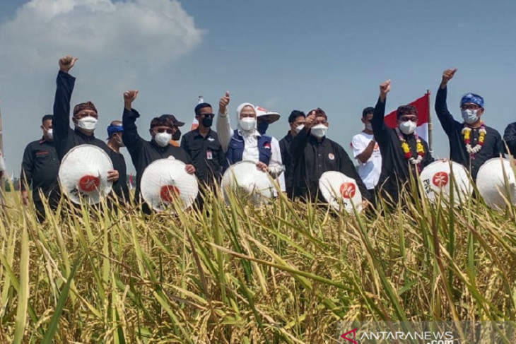 Tarik minat anak muda bertani, Pemprov Jabar seimbangkan teknologi dan sektor pertanian