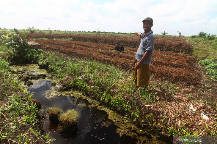 Menjaga Keanekaragaman Hayati di Lanskap Kubu