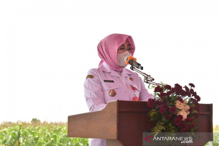 Bupati Grobogan: Biarkan petani nikmati hasil panen, jangan ada impor!