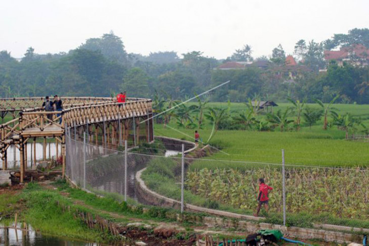 Wisata Bubulak tepi sawah di Bogor