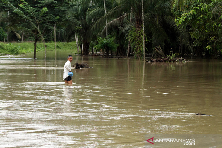 BANJIR TERJANG ACEH UTARA