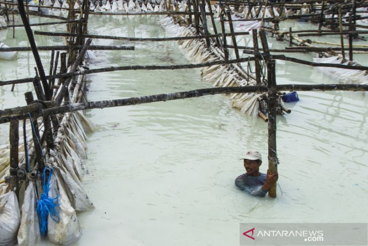 Industri pengolahan limbah tepung 