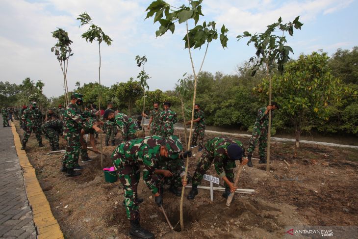 Penanaman Pohon Tabebuya di Koarmada II