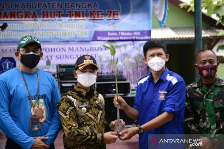 Jaga ekosistem pesisir pantai, PT Timah tanam 5000 batang mangrove di lingkungan nelayan II Sungailiat