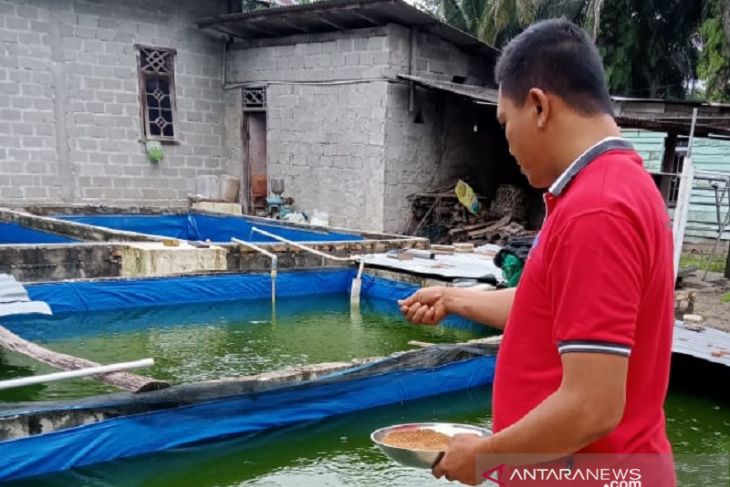 Kisah inspiratif peternak lele hingga pandai besi jatuh bangun hadapi pandemi