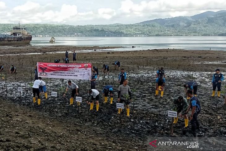 200 bibit mangrove ditanam di kawasan Pantai Halong lestarikan lingkungan