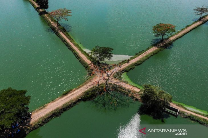 Wisata di IPAL Cikoneng