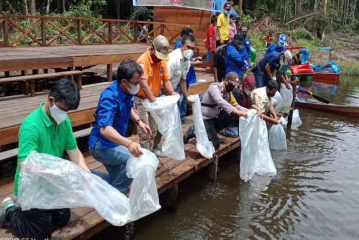 Restocking ikan betok dan kelabau di Barito Timur