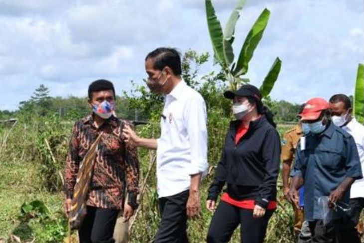 Stafsus Presiden ungkap aksi Jokowi di Papua yang tidak terekam kamera
