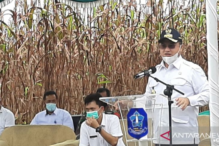 Gubernur Babel janji tindak tegas pangkalan gas jual diatas HET