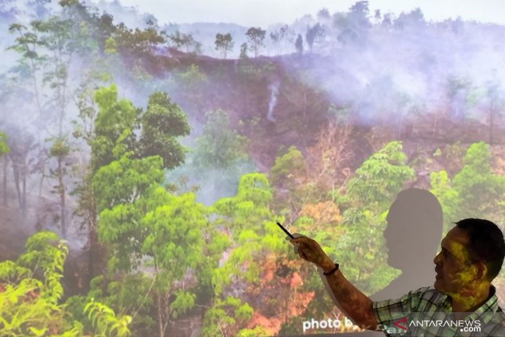 Forum LSM dan HAkA desak MA ambil alih putusan eksekusi PT Kalista Alam