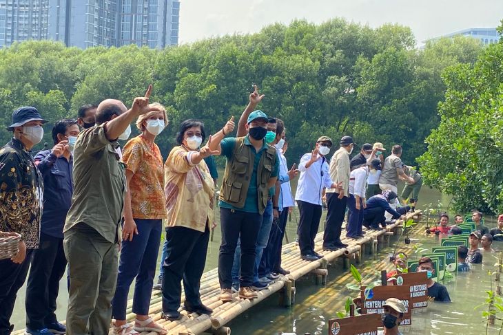 Indonesia to accelerate mangrove rehabilitation: minister