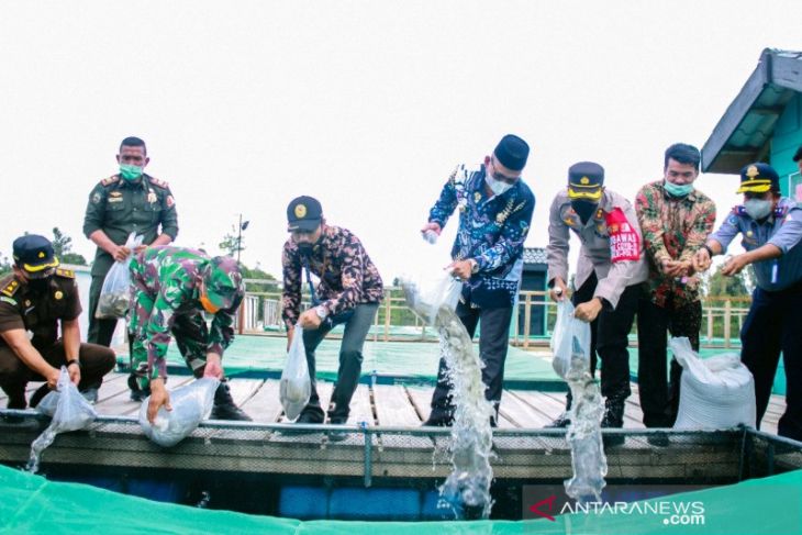 Tiga kelompok tani di Nagan Raya terima bantuan keramba jaring apung senilai Rp1,5 miliar