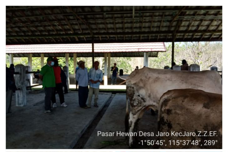 Pasar hewan Jaro Tabalong kembali beroperasi
