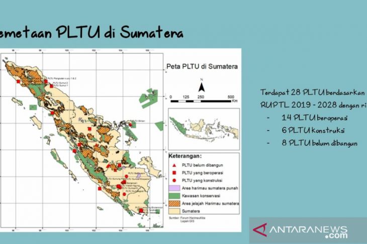 AEER: PLTU batu bara ancam satwa gajah dan harimau sumatra