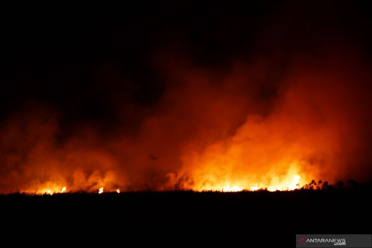 Kebakaran Lahan Tebu di Madiun