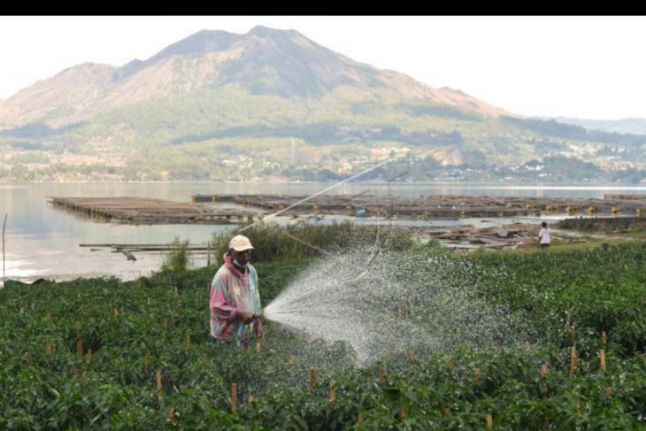 Nilai tukar petani Bali naik